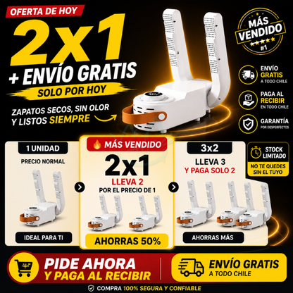 Secador de zapatos Inteligente